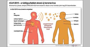 A járvány megelőzése nem lehet pénzkérdés