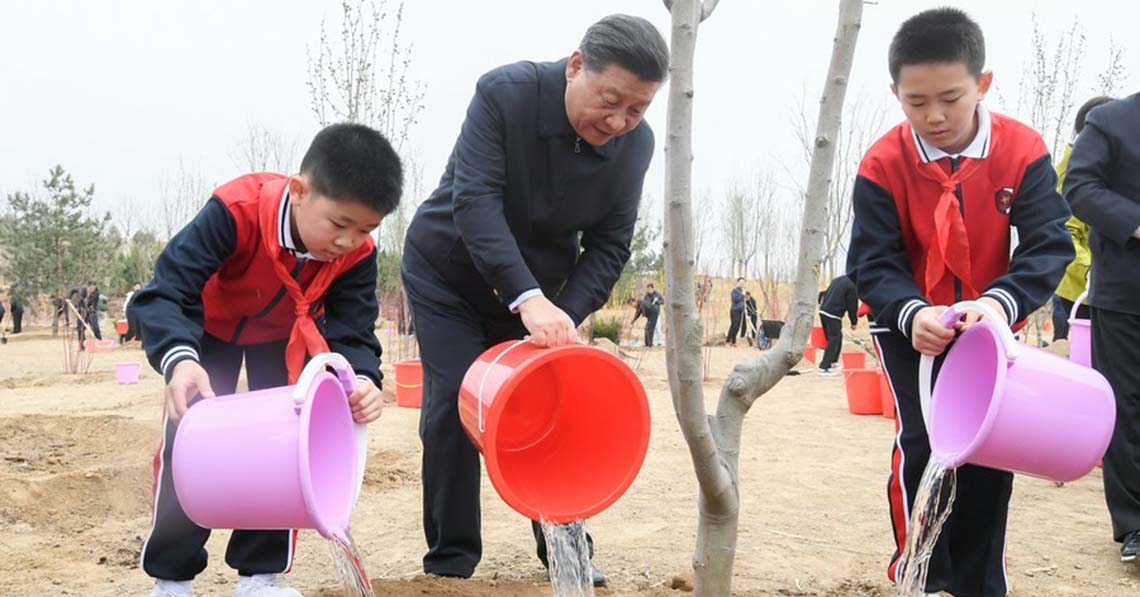 Kína: Németországnyi területet ültettek be fával