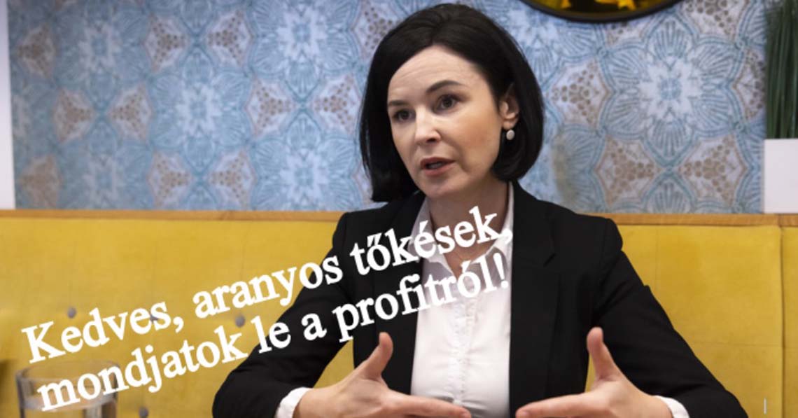 Kedves, aranyos tőkések, mondjatok le a profitról!