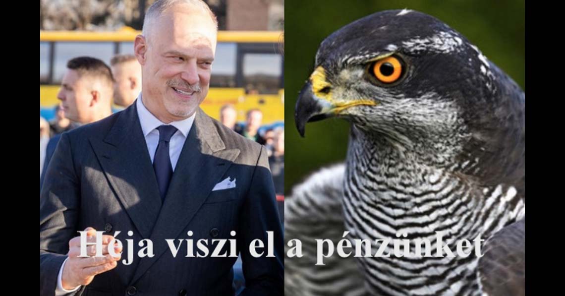 Héja viszi el a pénzünket