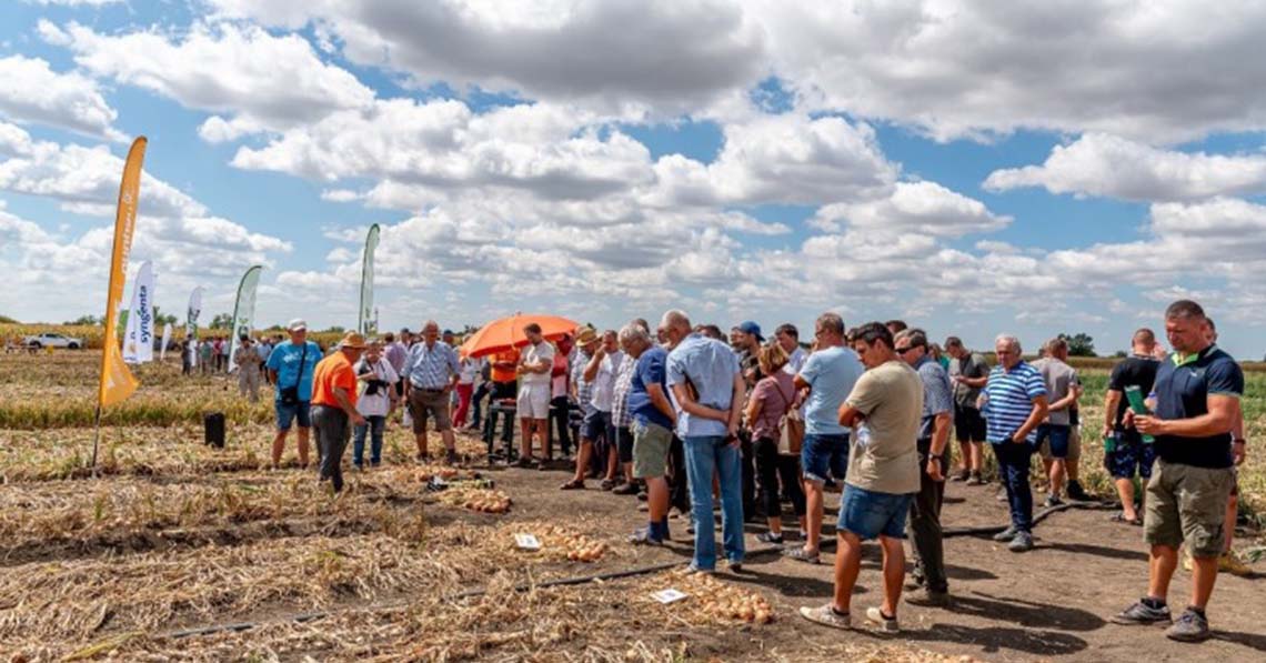 Védjük meg a magyar hagymát!