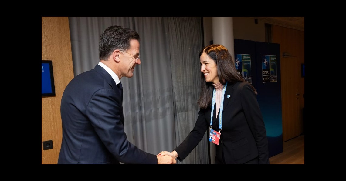 Orbán Anita: több NATO-t!
