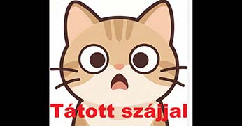 Thürmer: Tátott szájjal